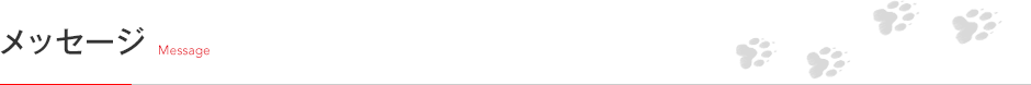 メッセージ Message